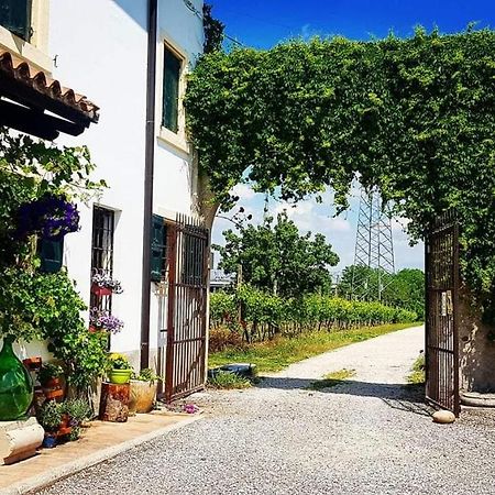 Bed and Breakfast Corte Le Vigne Верона Экстерьер фото